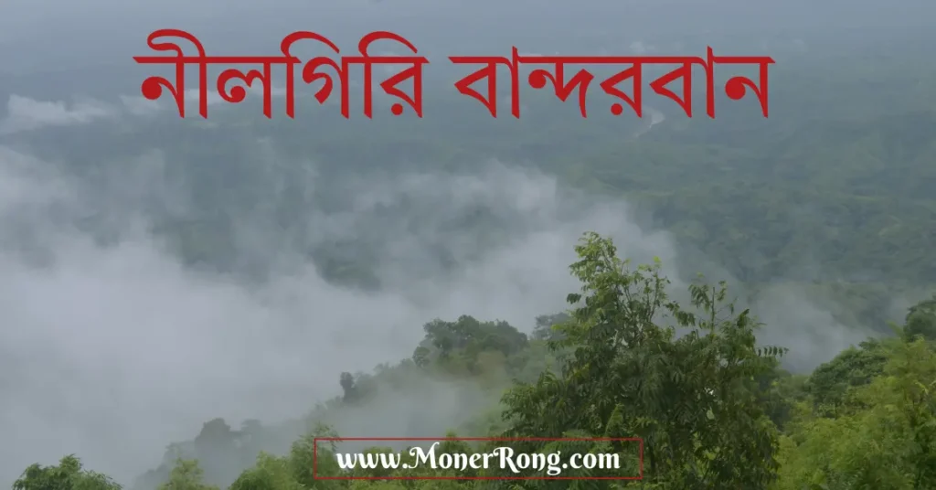 নীলগিরি বান্দরবান