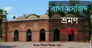 বাঘা মসজিদ