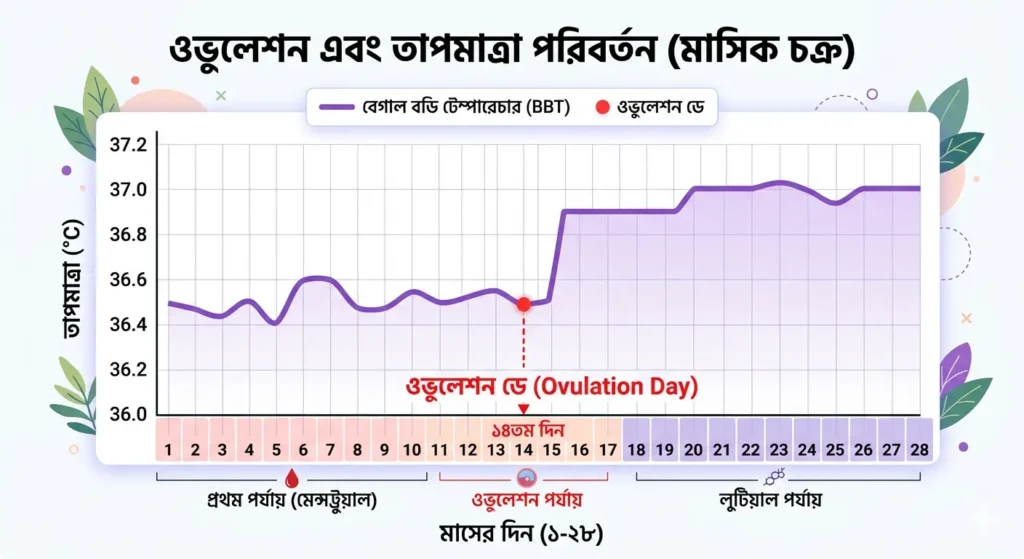 ওভুলেশন ডে
